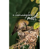A Hummingbird's Nest