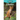Dholes