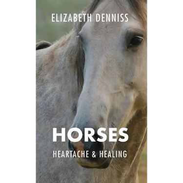 Horses, Heartache & Healing