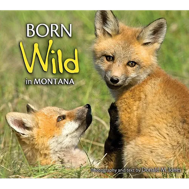 Born Wild in Montana