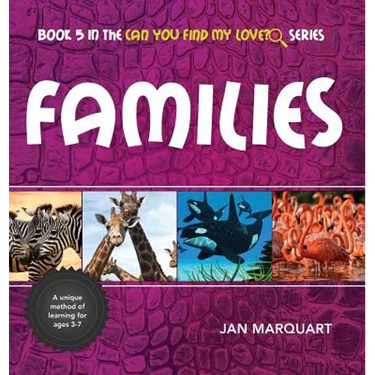 Families: Book 5 in the Can You find My Love? Series
