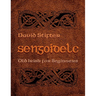 Sengoidelc: Old Irish for Beginners