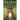Realm of the Wise One