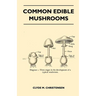 Common Edible Mushrooms