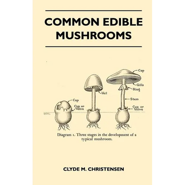 Common Edible Mushrooms