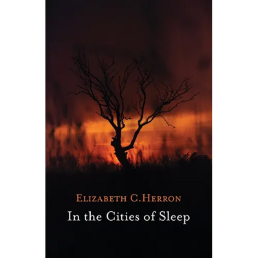 In the Cities of Sleep