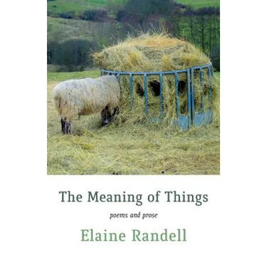 The Meaning of Things