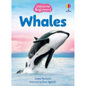 Beginners Whales
