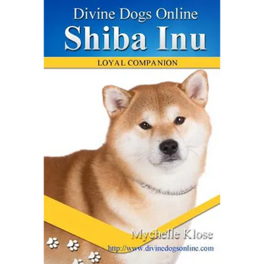 Shiba Inu