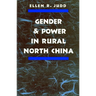 Gender and Power in Rural North China