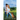 Love's Way Back