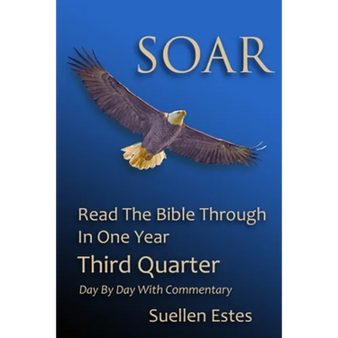 Soar: Read The Bible Through In One Year, Third Quarter