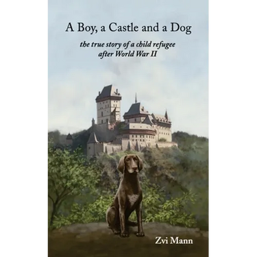 A Boy, A Castle and A Dog