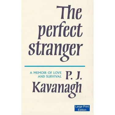 The Perfect Stranger (Large Print Edition)