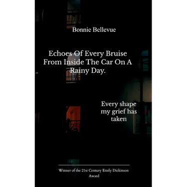 Echoes of every bruise from inside the car on a rainy day. Every shape my grief has taken