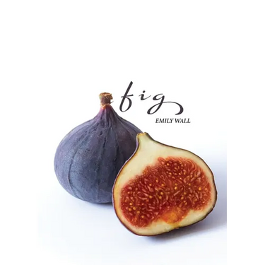 Fig