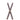 Wood Ski Ornament (Set of 2)