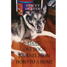 Eddie: One Dog's Journey from Hobo to a Home