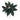 Forest Green Poinsettia Stem (Set of 2)