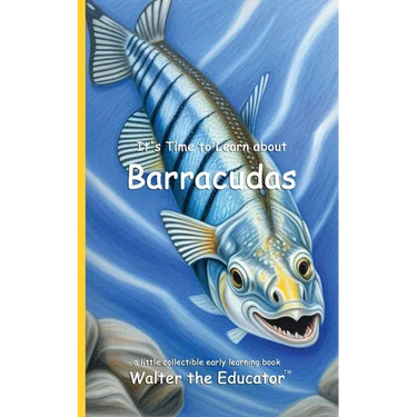 It's Time to Learn about Barracudas