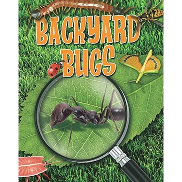 Backyard Bugs