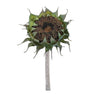 Brown Sunflower Stem (Set of 6)