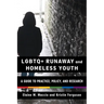 LGBTQ+ Runaway and Homeless Youth: A Guide to Practice, Policy, and Research