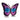 Butterfly Ekko Light Display 17"L