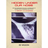 Hidden Under Our Nose: How the Simpkinson UFO Led to Confirmation of Strange Craft in Published NASA Photos