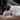 935d7162-ccb8-440f-a2cf-d942eb606013-Max