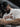 935d7162-ccb8-440f-a2cf-d942eb606013-Max