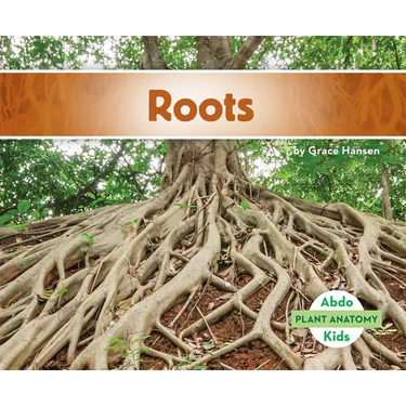 Roots