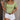 93ef7f4f-0af5-4f05-9ca8-d7b39a8fd052-Max