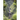 Whispers on the Mountain