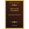 What Are The Theosophists: Some Words On Daily Life