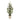 Potted Mini Pine Tree 24"H