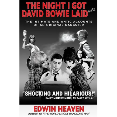 The Night I Got David Bowie Laid (Sorta)