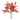 Fall Foliage Bundle (Set of 6)
