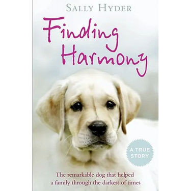 Finding Harmony: The remarkable dog that helped a family through the darkest of times