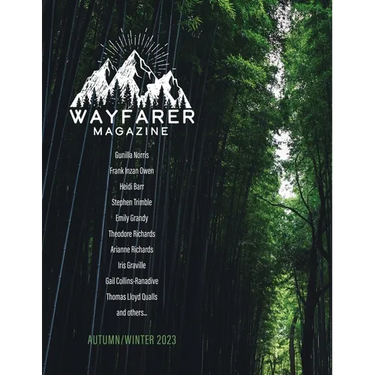 Wayfarer Magazine Issue 41