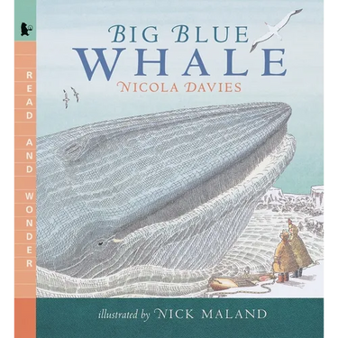 Big Blue Whale
