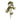 Sedum Succulent Spray (Set of 6)