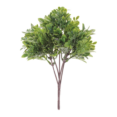 Boxwood Foliage Bush (Set of 6)