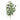 Variegated Foliage Spray (Set of 2)