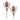 Protea Floral Stem (Set of 2)
