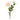 Dahlia Flower Stem (Set of 6)
