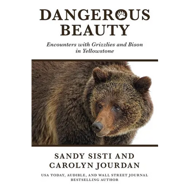 Dangerous Beauty: Encounters with Grizzlies and Bison in Yellowstone