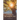 A Glimpse of a Promising Day