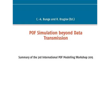 POF Simulation beyond Data Transmission: Summary of the 3rd International POF Modelling Workshop 2015