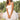 976e1a4710b9413989c11146150c5eaf-Max